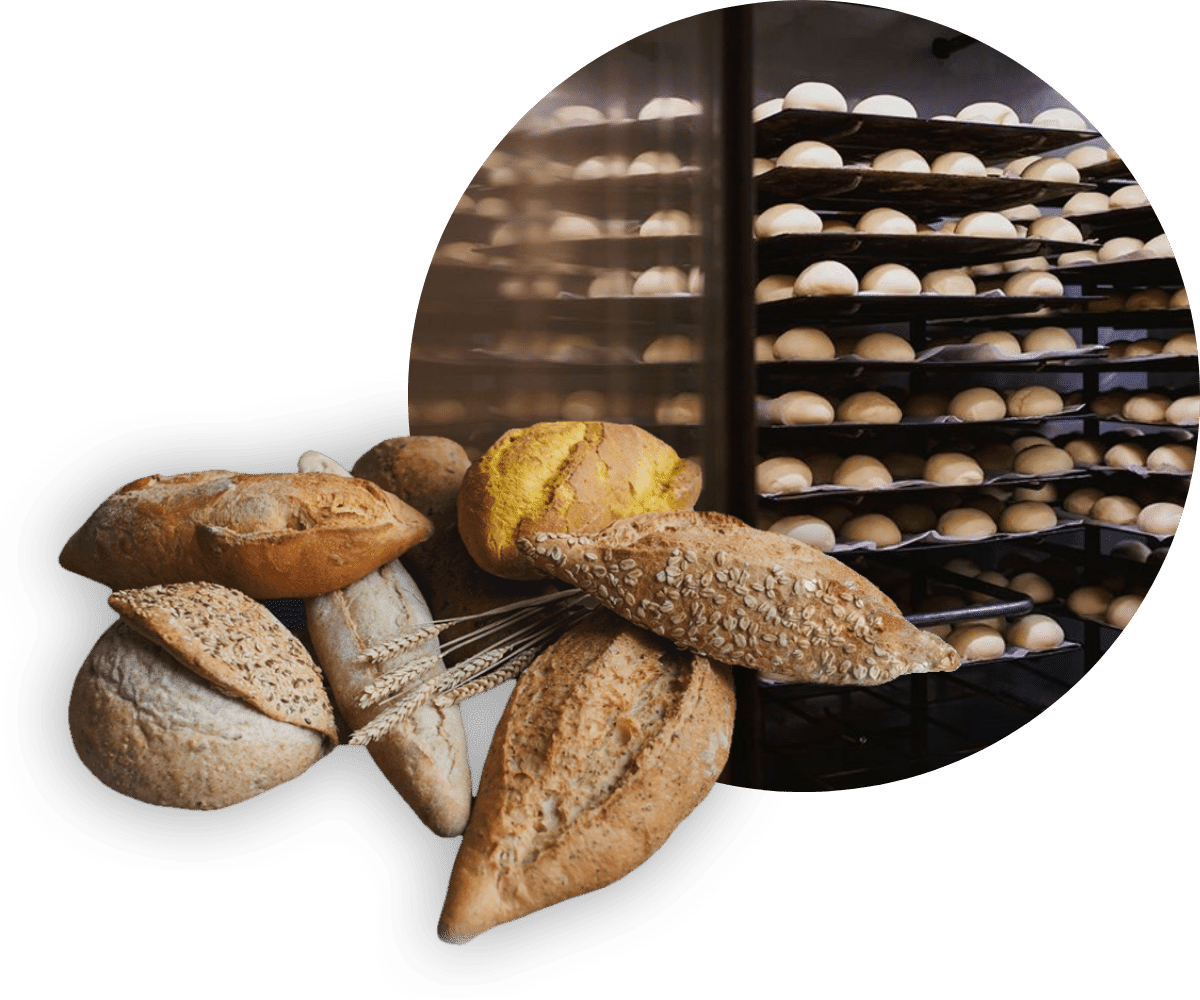 1 4 - Obrador Panadería y Pastelería